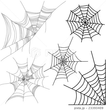 Vector set of spider web isolated on white.  23393409
