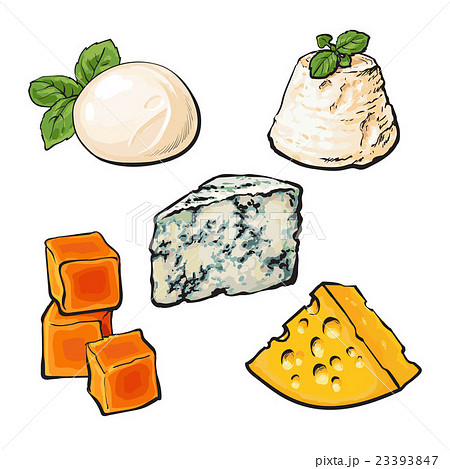 Set Of Different Cheeses Mozarella Cheddarのイラスト素材
