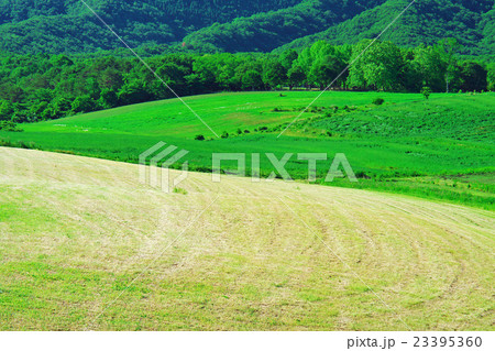 初夏の高原模様:蒜山高原(岡山県真庭市蒜山) 初夏の高原模様:蒜山高原(岡山県真庭市蒜山) 23395360