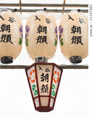 入谷・朝顔まつり 23395862