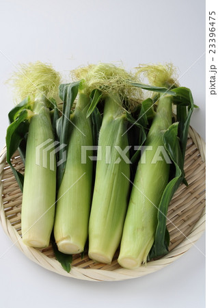 ベビーコーン 23396475