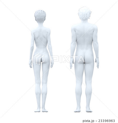 人体模型 男女 ホワイトフルヌード perming3DCG イラスト素材の