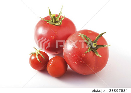 収穫したてのトマト 23397684