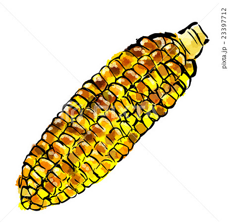 筆描き 夏 焼きとうもろこしのイラスト素材 23397712 Pixta