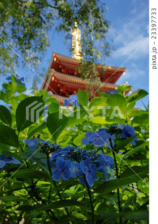 空が晴れたから出かけよう 23397733