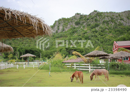 hourse farm 23398490