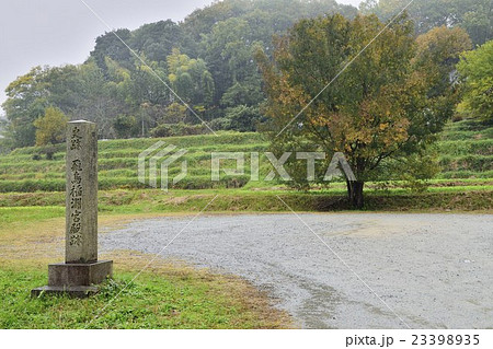 飛鳥稲淵宮殿跡  飛鳥稲淵宮殿跡  23398935