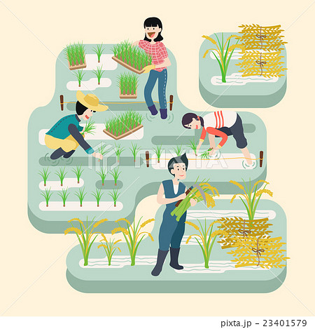 SILL206_003 SILL206_003 23401579