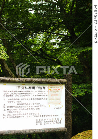 佐々里峠の芦生原生林と案内板 23402804