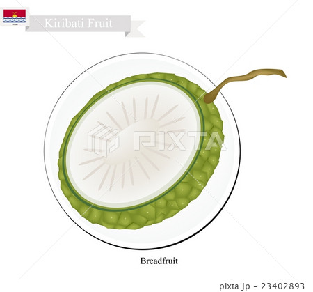 Ripe Breadfruit, A Popular Fruit in Kiribati 23402893