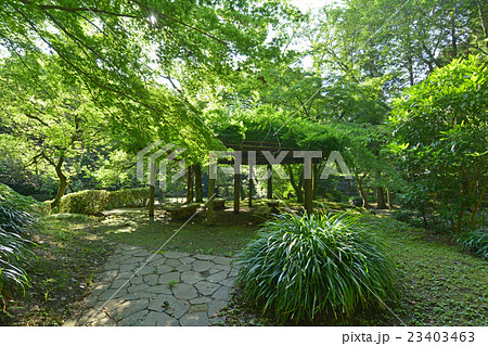 芹が谷公園 芹が谷公園 23403463