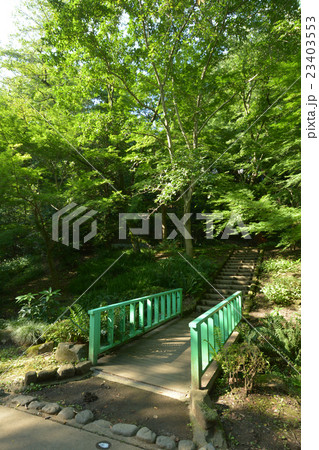 芹が谷公園 23403553