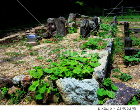 大板山たたら製鉄遺跡 23405249