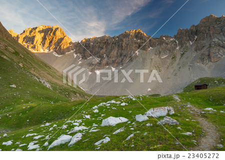 Alpine meadow and pasture 23405272