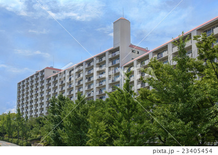 マンション マンション 23405454