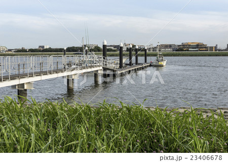 多摩川河口4 多摩川河口4 23406678