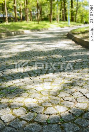 毛馬桜ノ宮公園 23407064