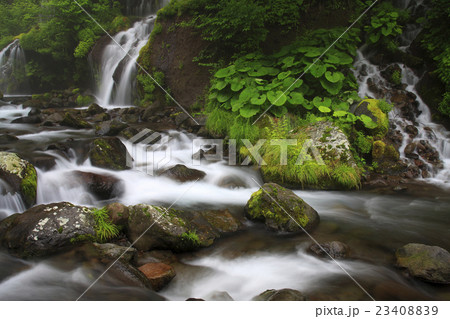 吐竜の滝 23408839