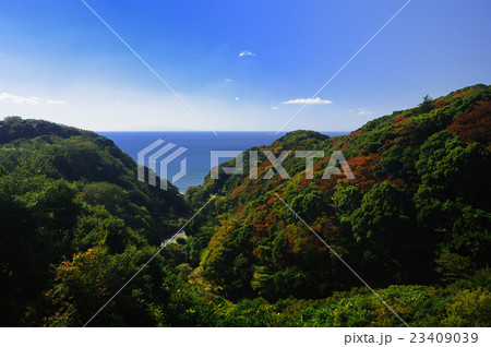 秋の山と海　紅葉　千葉県鋸南町 23409039