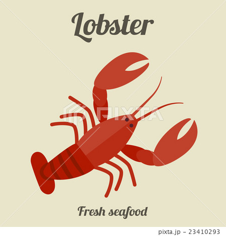 Lobster flat illustration. 23410293