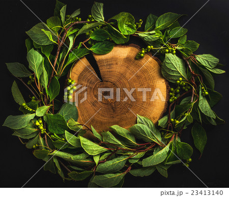 Background with Schisandra chinensis wreath around 23413140