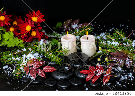 winter spa still life of evergreen branches 23413356