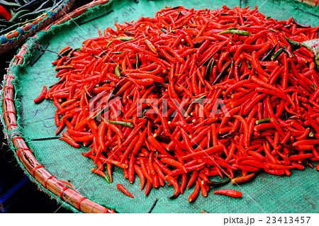 赤トウガラシ（Red Pepper） 23413457