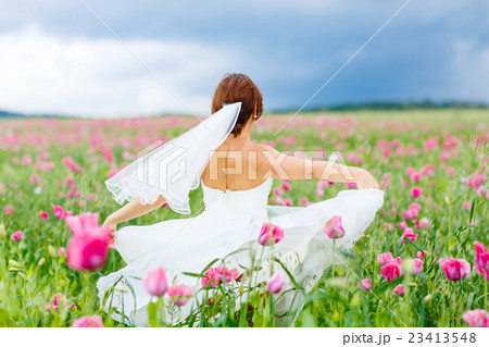 happy bride in white dress having fun in flower happy bride in white dress having fun in flower 23413548