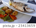 ポルトガル料理　 23413659