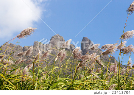 Mountain range in Mauritius with sugar cane field Mountain range in Mauritius with sugar cane field 23413704