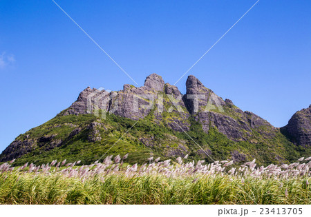 Mountain range in Mauritius with sugar cane field 23413705