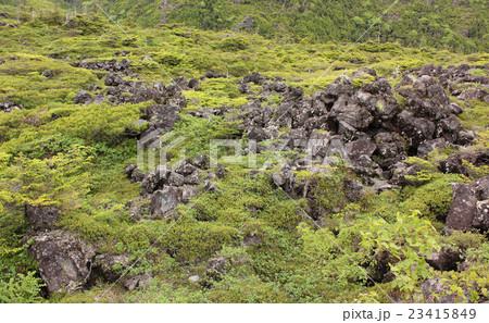 北八ヶ岳の坪庭(3) 北八ヶ岳の坪庭(3) 23415849