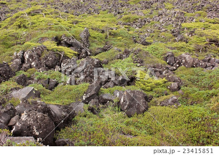 北八ヶ岳の坪庭(4) 北八ヶ岳の坪庭(4) 23415851