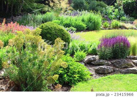 ロンドン紀行 その183  :  花と植物が織りなす色紙 その144 ロンドン紀行 その183  :  花と植物が織りなす色紙 その144 23415966