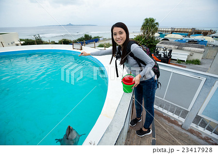 Woman feeding dolphin in aquarium 23417928