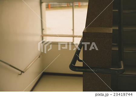 School life  23419744