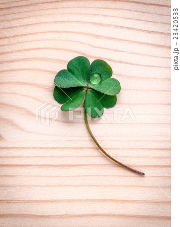 Clovers leaves on wooden background. Clovers leaves on wooden background. 23420533