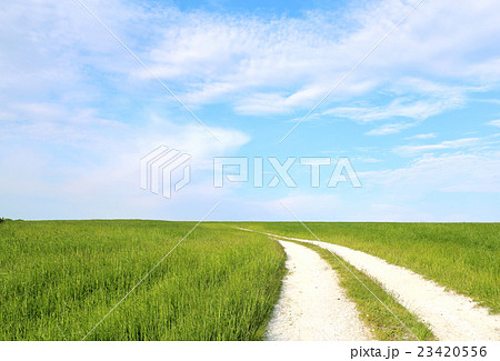 白い道　北海道 23420556
