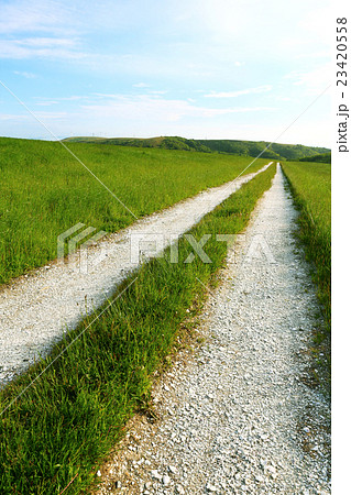 白い道　北海道 23420558