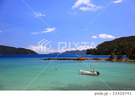 伊子茂湾 伊子茂湾 23420741