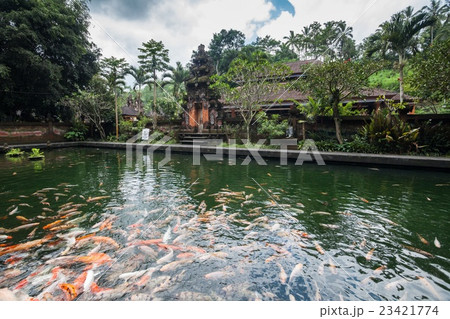 Tirta Empul Holy Water in Bali Indonesia 23421774