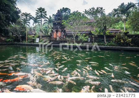 Tirta Empul Holy Water in Bali Indonesia 23421775