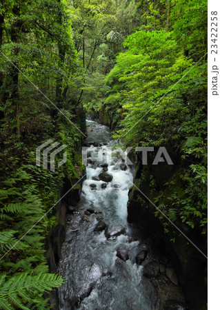 霧島神水峡 23422258