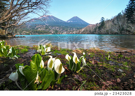 五色の湖 23423028