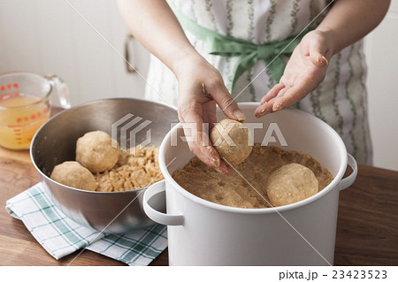 味噌玉を容器に詰める 23423523