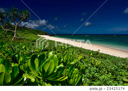 西表島　秘密のビーチ　ミミキリの浜 23425174