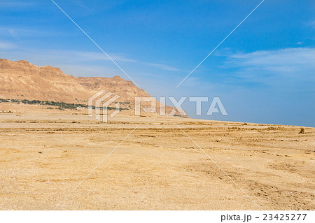 Dead sea salt shore 23425277