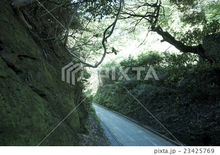 亀ヶ谷切通し 23425769