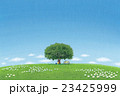 ポストカード、イラスト（昼寝） 23425999