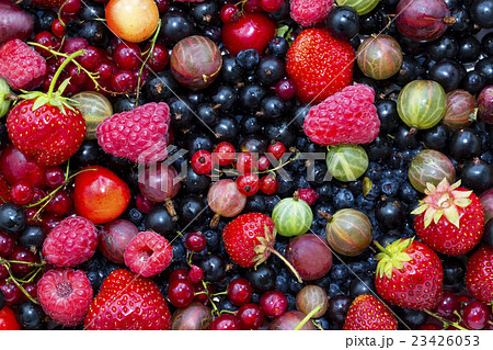 berry background 23426053